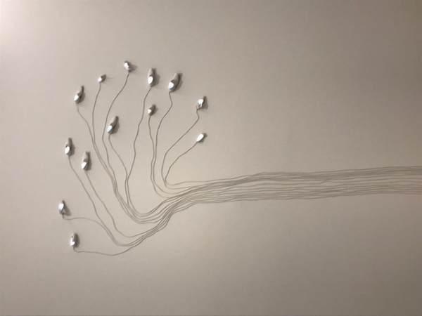 Arter Gezisi   16 Mart 2023 Perşembe Günü